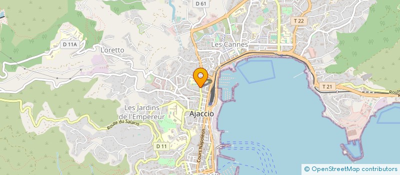 localisation de l'entreprise LE SAVANE à AJACCIO