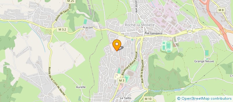 localisation de l'entreprise LE SCRABBLE DU JEUDI  ROCHE-LA-MOLIERE