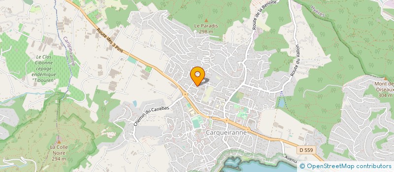 localisation de l'entreprise LE SESAME DANS LA PAUME  CARQUEIRANNE