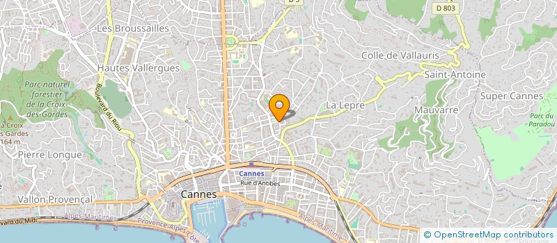 localisation de l'entreprise LE SHANGAI à CANNES
