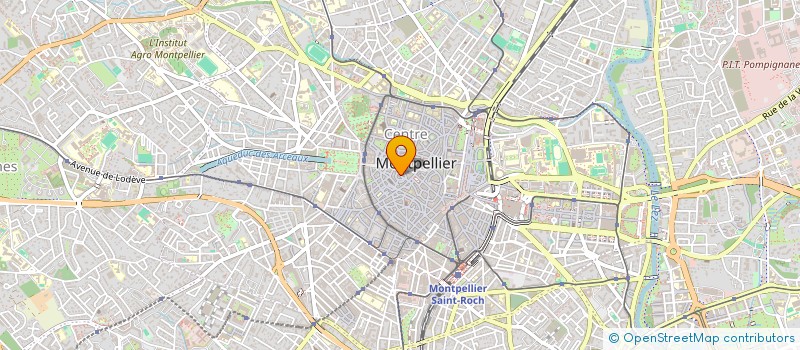 localisation de l'entreprise LE SHELTER à MONTPELLIER