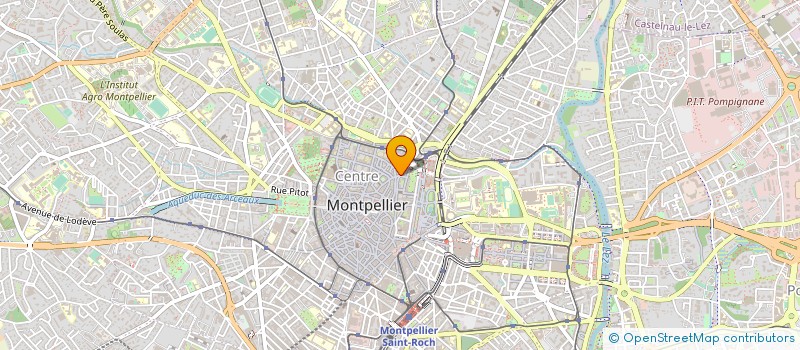 localisation de l'entreprise LE SINGE PENDU à MONTPELLIER