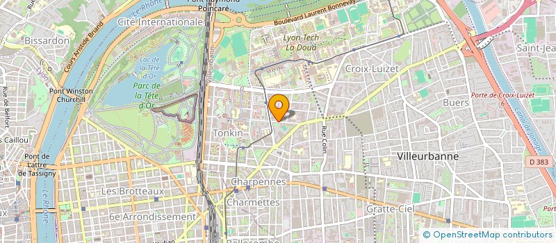 localisation de l'entreprise LE SINGE QUI BOUGE à VILLEURBANNE