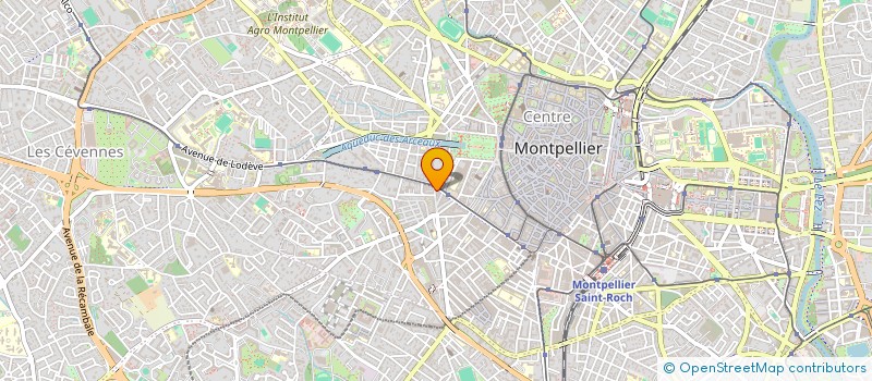 localisation de l'entreprise LE SNACK GAMBETTA à MONTPELLIER