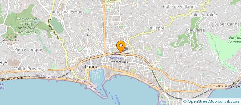 localisation de l'entreprise LE SOLEIL DES ALPES à CANNES