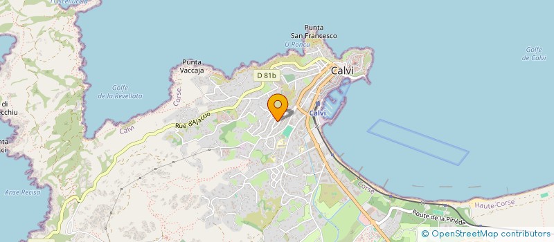 localisation de l'entreprise LE SON DES GUITARES à CALVI