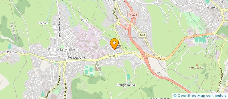 localisation de l'entreprise LE SOUVENIR POLONAIS EN FRANCE - DEPARTEMENT DE LA LOIRE  ROCHE-LA-MOLIERE