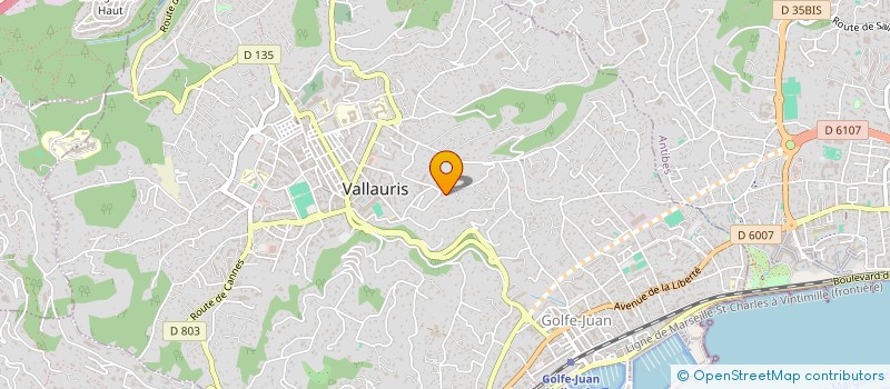 localisation de l'entreprise LE SUD à VALLAURIS