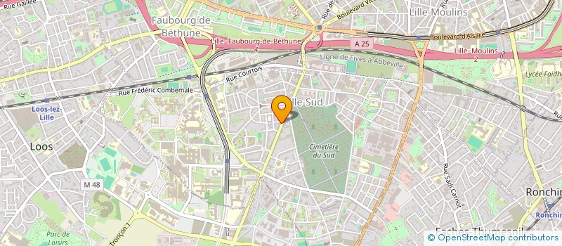 localisation de l'entreprise LE TACOS DE LILLE à LILLE