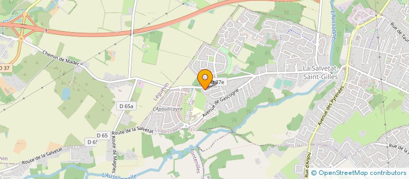 localisation de l'entreprise LE TAO DE L'ART ULTIME  LA SALVETAT-SAINT-GILLES