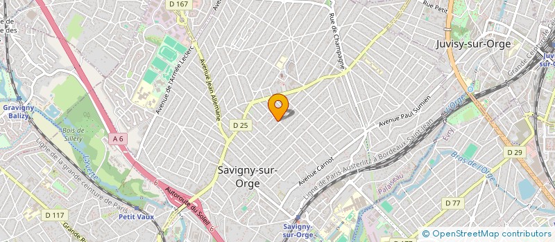 localisation de l'entreprise LE TAPIR VOLANT à SAVIGNY-SUR-ORGE