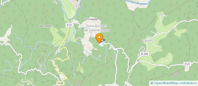 localisation de l'entreprise LE TEMPS DES CHATAIGNES  ST BONNET DE SALENDRINQUE
