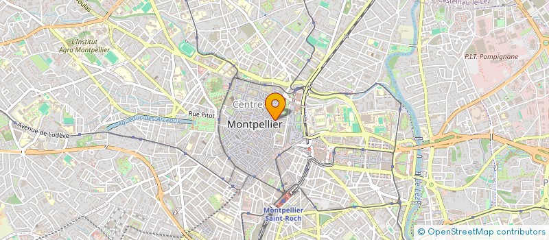 localisation de l'entreprise LE TEMPS QUI COURT à MONTPELLIER