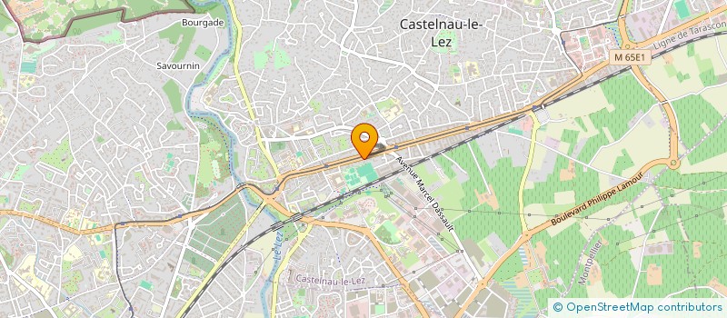 localisation de l'entreprise LE TERRAIN  CASTELNAU-LE-LEZ
