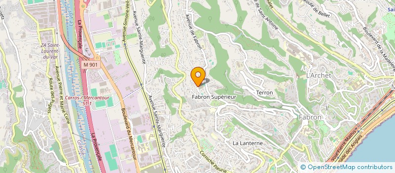 localisation de l'entreprise LE TIGRE BLANC  NICE