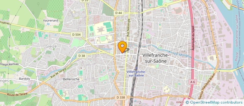 localisation de l'entreprise LE TONN'S à VILLEFRANCHE-SUR-SAONE