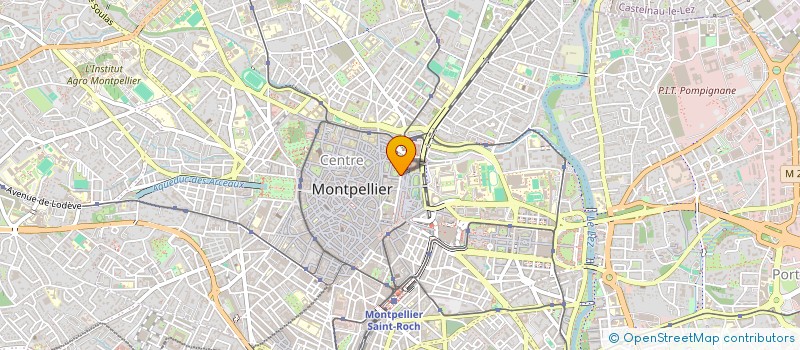 localisation de l'entreprise LE TOUAREG à MONTPELLIER