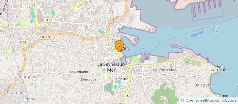 localisation de l'entreprise LE TRANSBORDEUR à LA SEYNE-SUR-MER