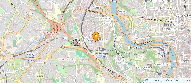localisation de l'entreprise LE TRANSODYSSEEN  LYON