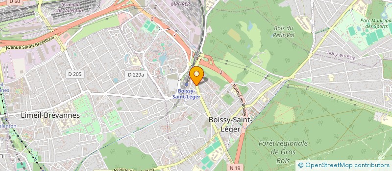 localisation de l'entreprise LE TRANSPORTEUR à BOISSY-SAINT-LEGER