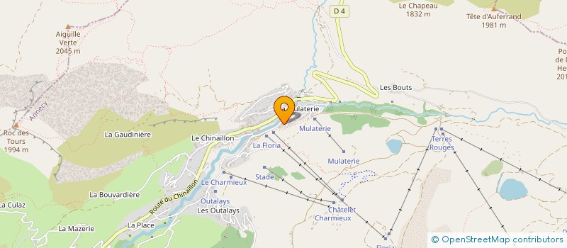 localisation de l'entreprise LE TREMPLIN  LE GRAND-BORNAND