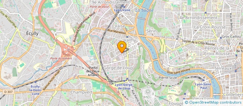 localisation de l'entreprise LE TRESOR DES ILES  LYON