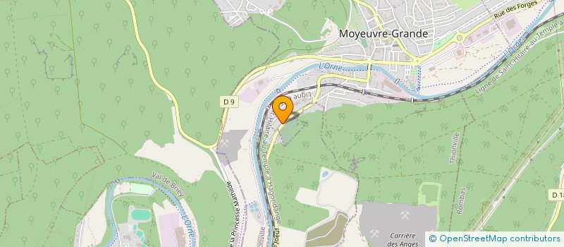 localisation de l'entreprise LE TRIANGLE D'OR  MOYEUVRE-GRANDE