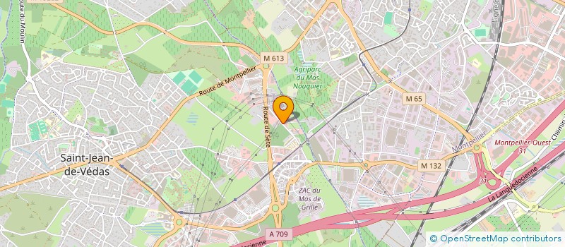 localisation de l'entreprise LE TROISIEME OEIL  SAINT-JEAN-DE-VEDAS