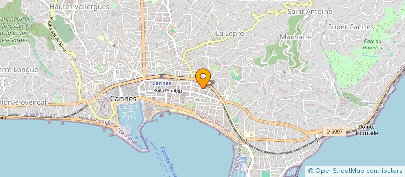 localisation de l'entreprise LE VENDOME  CANNES