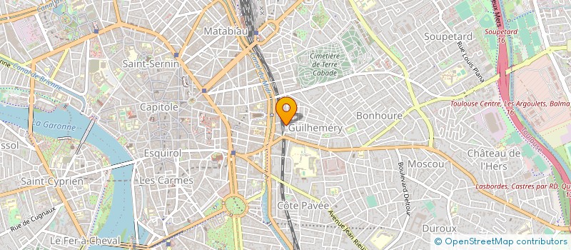 localisation de l'entreprise LE VENGEUR MASQUE  TOULOUSE