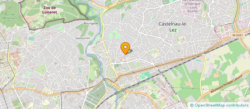 localisation de l'entreprise LE VENT DANS LES FEUILLES  CASTELNAU-LE-LEZ