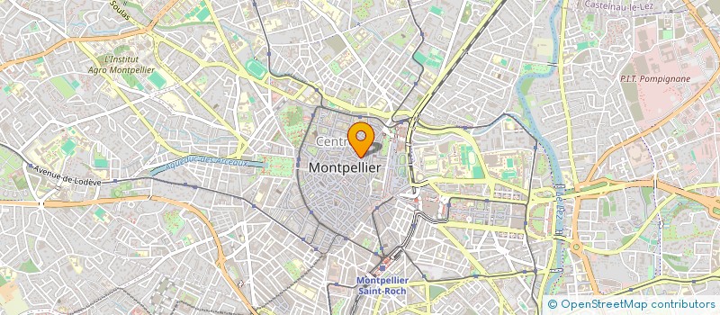 localisation de l'entreprise LE VENT DU CHANGEMENT - MONTPELLIER  MONTPELLIER