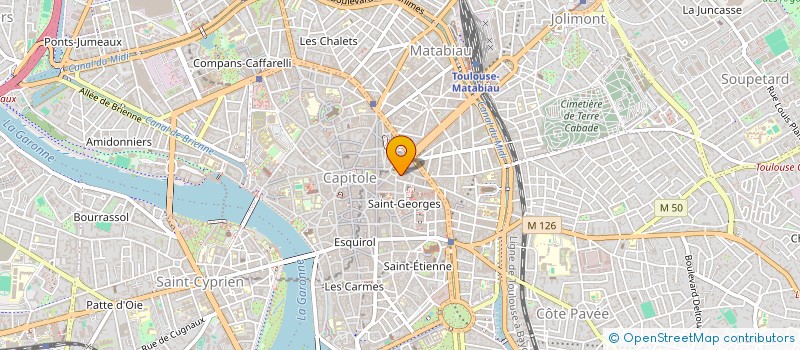 localisation de l'entreprise LE VERDET  TOULOUSE