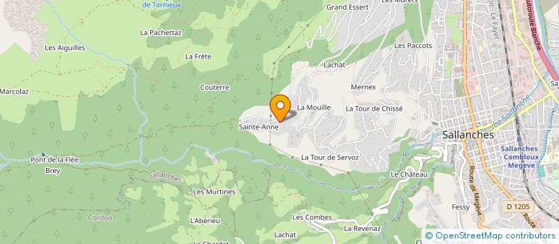 localisation de l'entreprise LE VIAISON à SALLANCHES