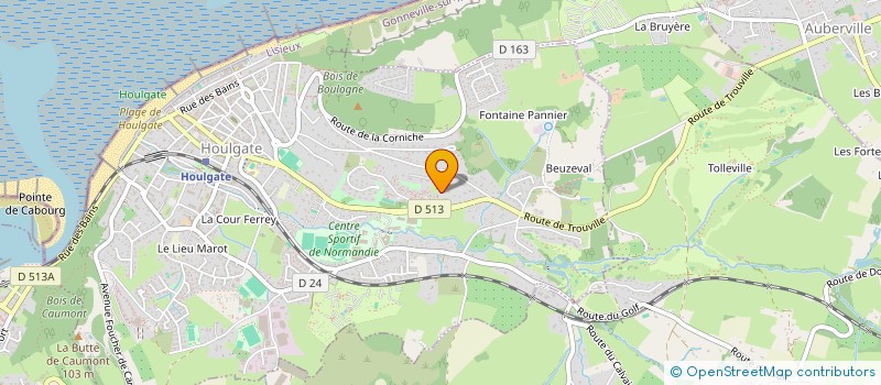 localisation de l'entreprise LE VIEUX LOGIS  HOULGATE