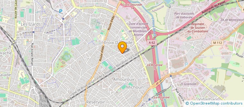 localisation de l'entreprise LE VIEUX SAULE à TOULOUSE