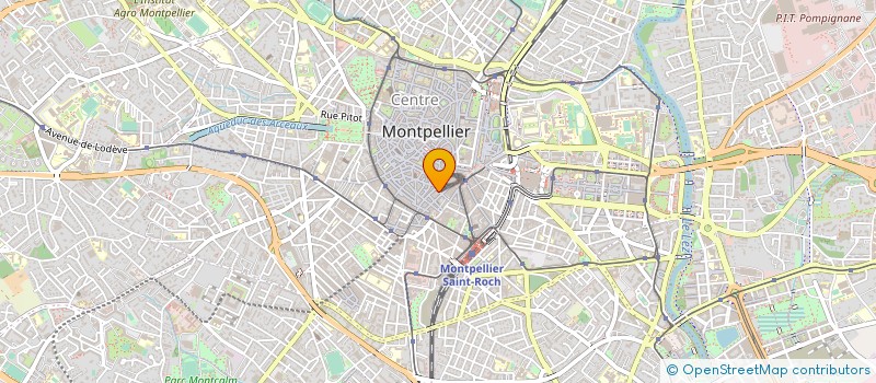 localisation de l'entreprise LE VIGNOBLE DE LA VINEUSE à MONTPELLIER