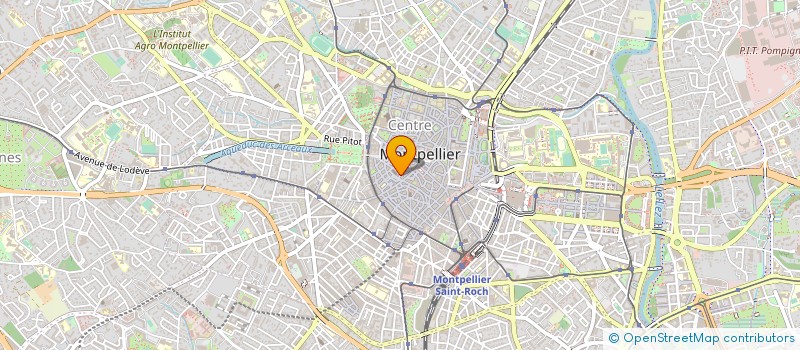 localisation de l'entreprise LE VIN EN SCENE à MONTPELLIER