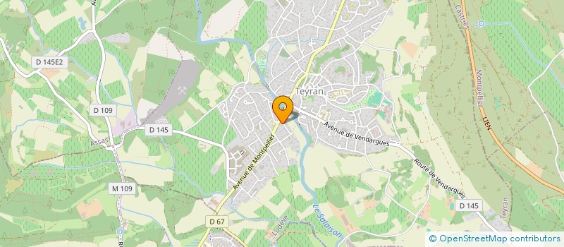 localisation de l'entreprise LE VIRGINIE  TEYRAN