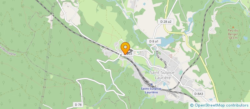 localisation de l'entreprise LE VOLANT DINGUE  SAINT-SULPICE-LAURIERE