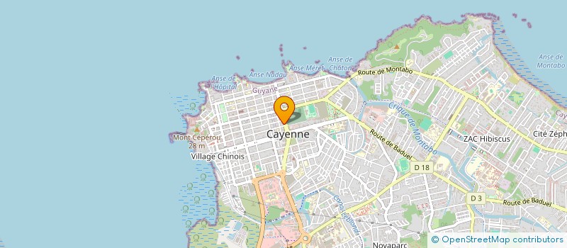 localisation de l'entreprise LE VRAI REGAL  CAYENNE