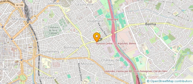 localisation de l'entreprise LE VRAI SYNDIC à TOULOUSE
