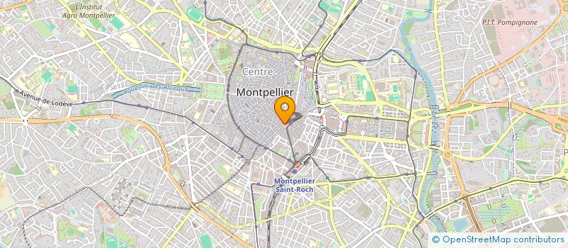 localisation de l'entreprise LE YAM S à MONTPELLIER