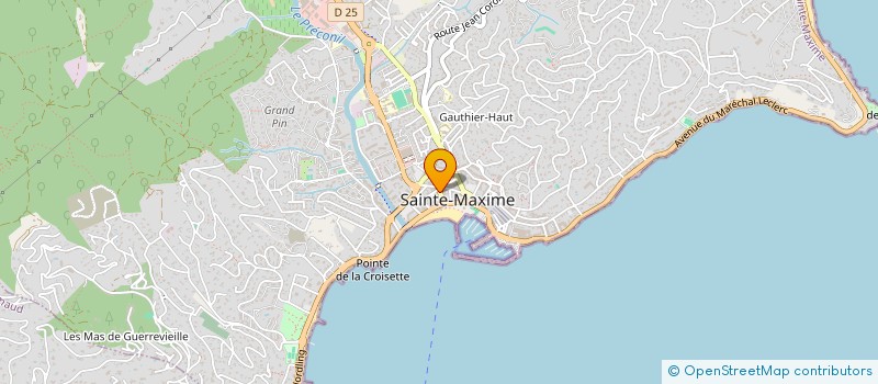 localisation de l'entreprise LEADER MARINE à SAINTE-MAXIME