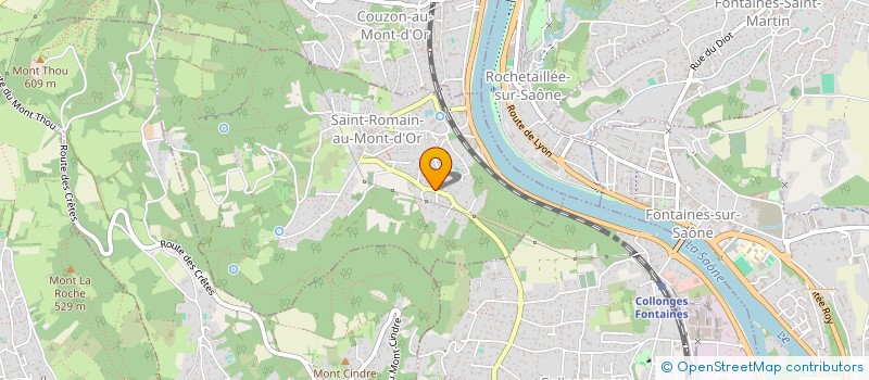 localisation de l'entreprise LEAHPAR INVEST  SAINT-ROMAIN-AU-MONT-D'OR