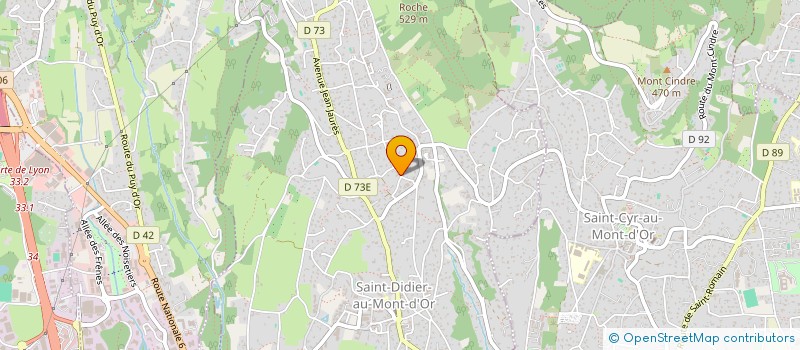 localisation de l'entreprise LEAN IN  SAINT-DIDIER-AU-MONT-D OR