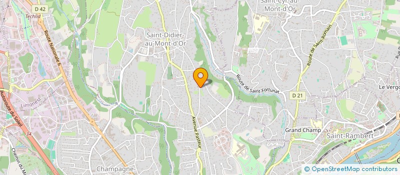 localisation de l'entreprise LEANCE  SAINT-DIDIER-AU-MONT-D'OR