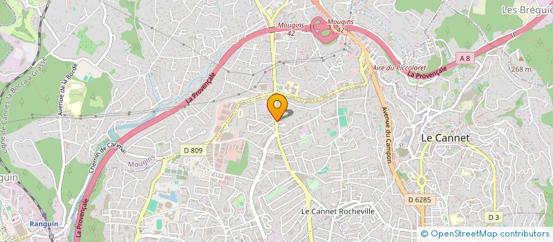 localisation de l'entreprise LEANG HOUT à LE CANNET
