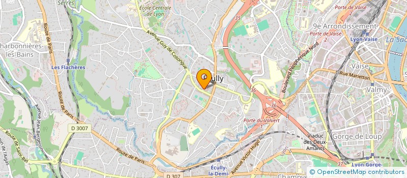 localisation de l'entreprise LEASE AIR  ECULLY