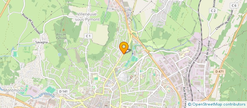 localisation de l'entreprise LEDONIA 95  LONS-LE-SAUNIER